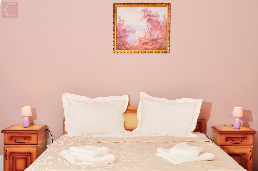 Camera 9.1 Camera 9.1