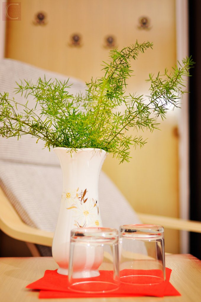 Camera 9.6 Camera 9.6